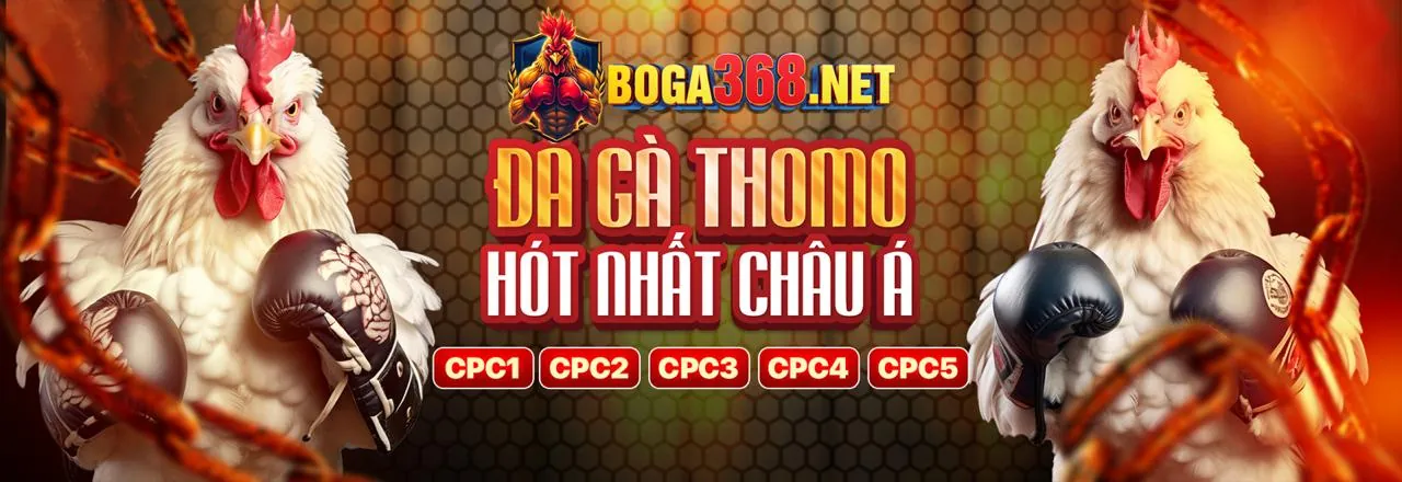 Tương lai của đấu gà Thomo trực tuyến