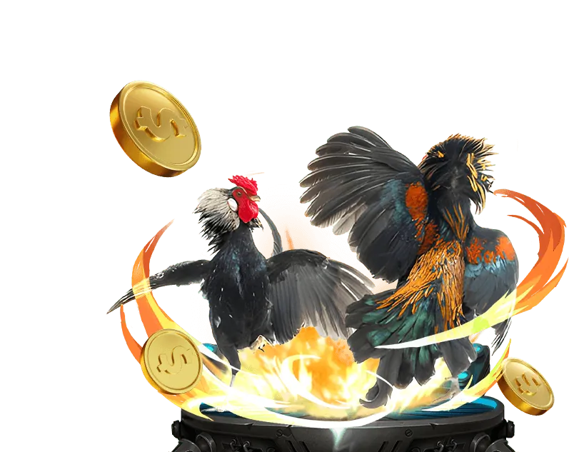 Highlight giải đấu